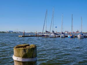 eine Gruppe von Booten, die an einem Dock im Wasser angedockt sind in der Unterkunft Haus Putbus in Altefähr - WG 3 mit Panoramablick in Altefähr