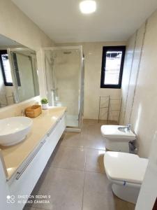 La salle de bains est pourvue d'un lavabo, de toilettes et d'une douche. dans l'établissement Villa Gehidy, à Teguise