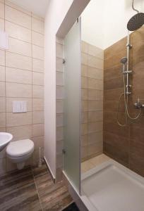 ein Bad mit einer Dusche, einem WC und einem Waschbecken in der Unterkunft 1 bedroom flat in Nyar str., Central in Budapest
