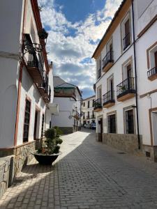 eine Gasse mit Gebäuden und einer Topfpflanze an der Seite in der Unterkunft EL MIRADOR in Montejaque