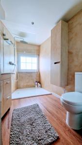 łazienka z toaletą, prysznicem i dywanem w obiekcie Apartamento Cava do Viriato Deluxe w mieście Viseu