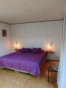 1 Schlafzimmer mit einem lila Bett und 2 Tischen in der Unterkunft vagones de la patagonia in El Calafate
