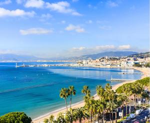 - une vue sur la plage bordée de palmiers et l'océan dans l'établissement France Nice Promenade Des Anglais 80m² Piano, à Nice