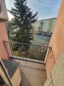 balkon z choinką świąteczną i budynkiem w obiekcie JDK Apartamenty Młynarska 44m2 6-osobowy w Kaliszu