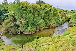 Gallery image of Tranquil Stream Villa in Rotorua