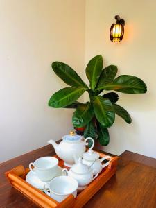een theeset op een tafel met een potplant bij Art House in Dikwella