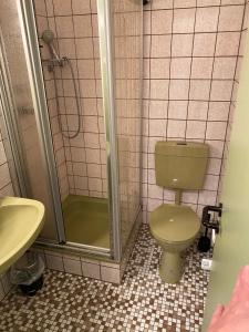 een badkamer met een groen toilet en een douche bij Monteurswohnung mit kleinem Garten 600M zur Stadtmitte in Siegen