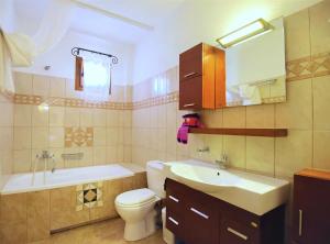 ein Badezimmer mit einem Waschbecken, einem WC und einer Badewanne in der Unterkunft Sossinola in Steni Vala Alonissos