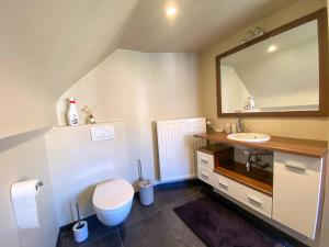 ein Badezimmer mit Waschbecken, Toilette und Spiegel in der Unterkunft Villa Trianon -Summer beachhouse in De Panne + 13 Fotos