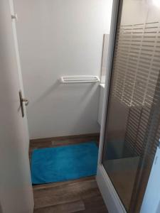 eine Dusche mit Glastür im Bad in der Unterkunft Duplex T2 proche bord de mer Quartier des Minimes in La Rochelle