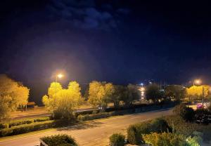 an empty street at night with trees and street lights at Galini Palace in Athens