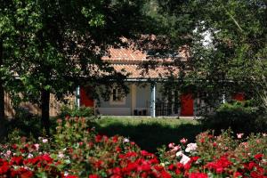 a garden with flowers in front of a house at Herdade da Matinha Country House & Restaurant in Cercal