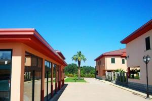 a row of buildings with a palm tree in the background at residence afrodite in Solfara Mare