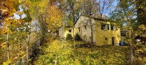 ein gelbes Haus in der Mitte eines Gartens in der Unterkunft Ferienhaus Schafhof in Bad Steben