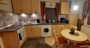 eine Küche mit einer Spüle und einer Waschmaschine in der Unterkunft Ferienhaus Schafhof in Bad Steben