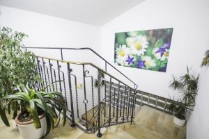 Fotografie z fotogalerie ubytování Haus Patricia v destinaci Lofer