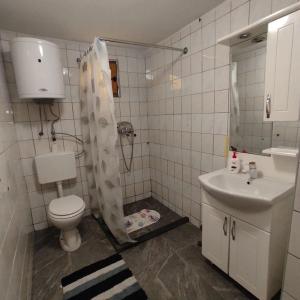 a bathroom with a shower and a toilet and a sink at Holiday Home Nur in Konjic