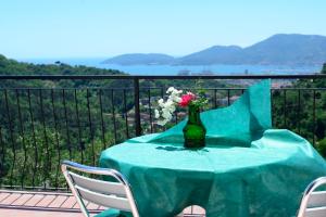 una mesa con un jarrón de flores en el balcón en Agriturismo Oliva Azzurra, en Valeriano Lunense