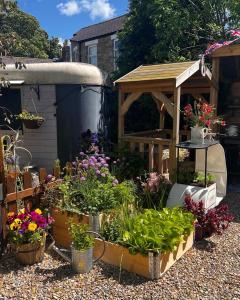 a garden with a bunch of flowers and plants at Pear Tree Cottage in Bishop Auckland