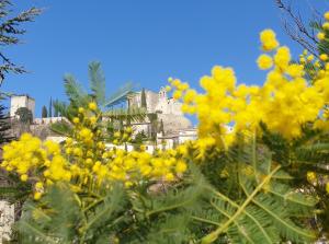 a bunch of yellow flowers with a castle in the background at Pause couleur Lavandula in Roussas