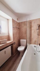 uma casa de banho com um WC, um lavatório e uma banheira em Casa Rosina - Una caramella, nel nucleo, ai piedi della Verzasca- em Gordola