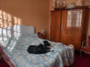 um cão preto deitado em cima de uma cama em La maison des amoureux de ballades dans le Jura 