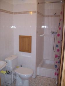 Koupelna v ubytování Apartments in Jachymov/Erzgebirge 33569