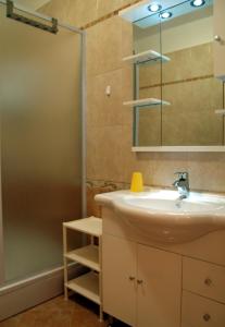 Kúpeľňa v ubytovaní Apartments Banic