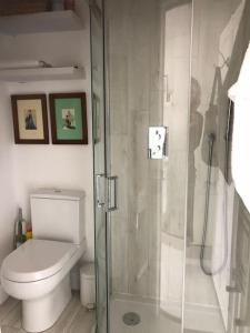 a bathroom with a toilet and a glass shower at Stunning Richmond Maisionette with rooftop patio in Richmond