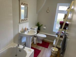 a bathroom with a white sink and a toilet at Charming Countryside Cottage Ground Floor Apartment in Combeinteignhead Devon in Bishopsteignton +42 photos