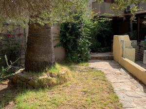 A garden outside Apartment in Porto Pollo near Surf Paradise