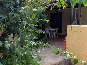 A garden outside Apartment in Porto Pollo near Surf Paradise
