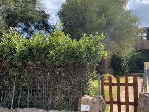A garden outside Apartment in Porto Pollo near Surf Paradise