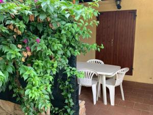 A garden outside Apartment in Porto Pollo near Surf Paradise