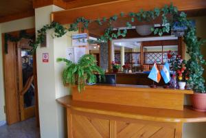 a restaurant counter with a mirror and plants at Hosteria Chalp in Ushuaia