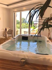 eine Whirlpool-Badewanne im Wohnzimmer mit Pflanze in der Unterkunft Studio La Boheme Jacuzzi et Terrasse vu sur Pic Saint Loup in Prades-le-Lez