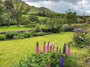 a garden with flowers in the middle of a field at River View Knockraich Farm in Fintry