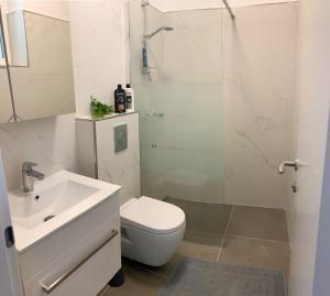 La salle de bains est pourvue de toilettes, d'un lavabo et d'une douche. dans l'établissement Apartments Zore Dubrovnik, à Dubrovnik