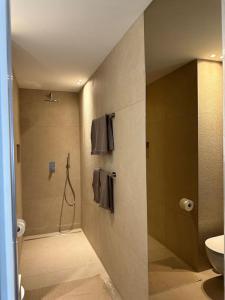 ein Bad mit einer Dusche, einem WC und einem Waschbecken in der Unterkunft Riva 21 in Lugano