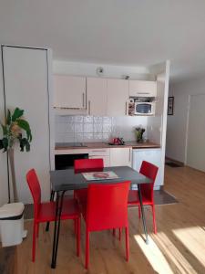 Kuchnia lub aneks kuchenny w obiekcie charmant T2 formiguères les esplaneilles