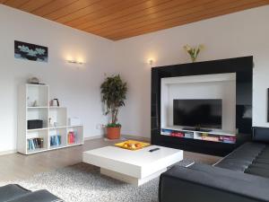 a living room with a couch and a tv at Nelkenweg in Homburg