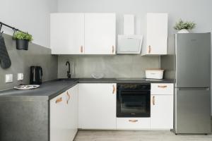 Kuchyň nebo kuchyňský kout v ubytování Calliera Charming Apartment Poznań by Renters