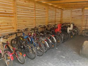 Jazda na bicykli v okolí ubytovania Luxdomki