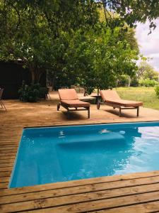 dos bancos sentados junto a una piscina en O Bona Moremi Safari Lodge, en Khwai