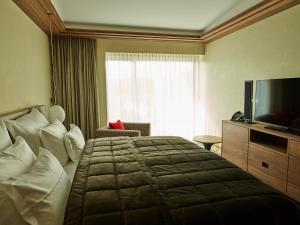 ein Hotelzimmer mit einem Bett und einem TV in der Unterkunft X-BIONIC Hotel in Šamorín