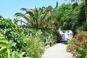 a garden with plants and trees and a pathway at Hotel Plakures in Falasarna