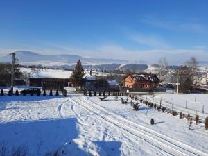 a snow covered town with houses and buildings at Cabana la Munte in Topliţa