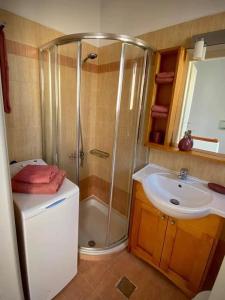 a bathroom with a shower and a sink at Villa Evgenia in Asprouliánoi