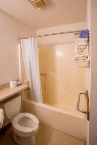 a bathroom with a toilet and a bath tub at Lafayette Inn in Moundsville