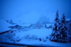 Forest Mountain Apartment during the winter